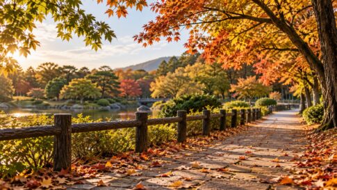 秋色の木々と落ち葉に囲まれた公園の散歩道